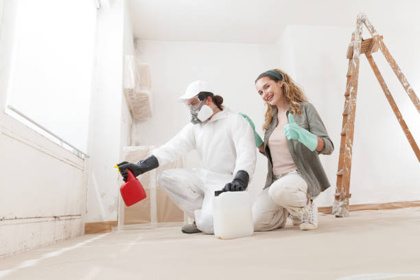 Professional Mold Removal in Lesslie, SC